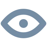 Eye S SVG Icon